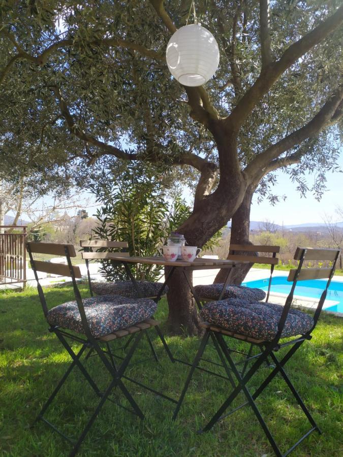 Casa di Oliva-villa with private pool in nature, Dalmatia Trilj Esterno foto