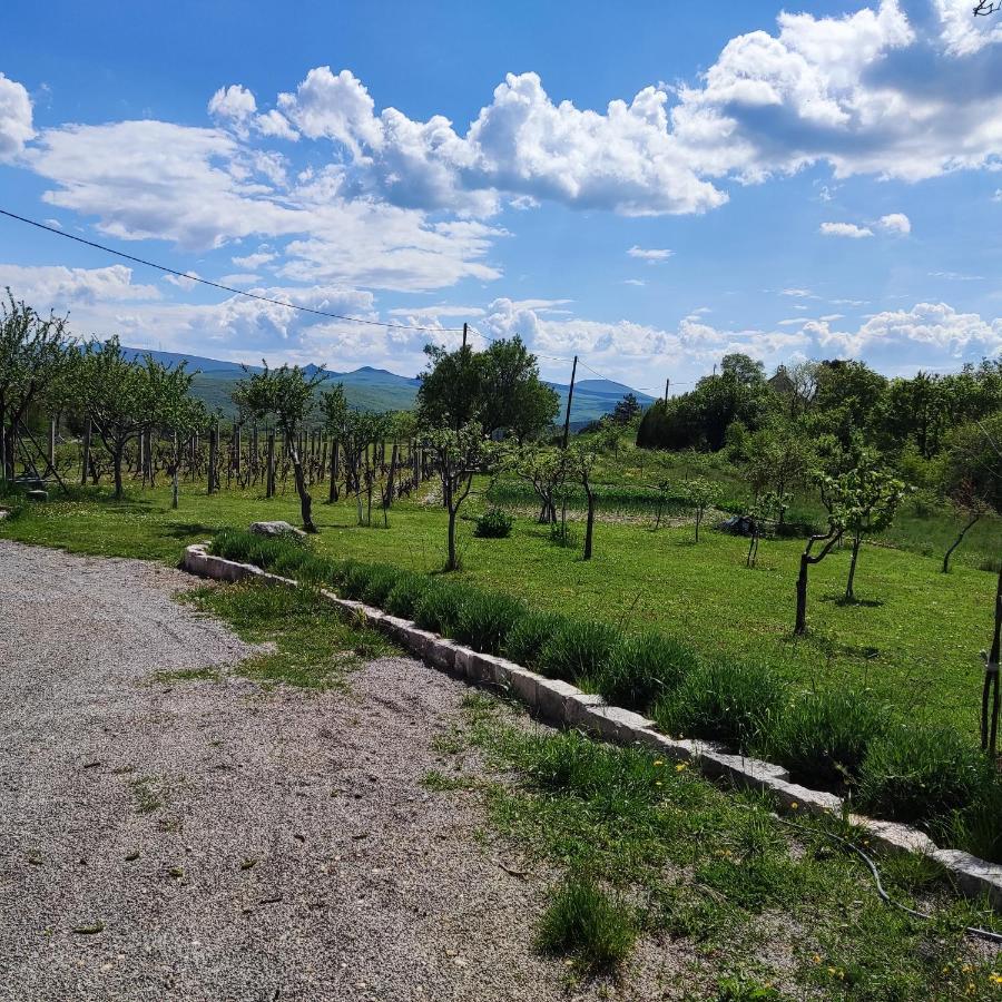 Casa di Oliva-villa with private pool in nature, Dalmatia Trilj Esterno foto