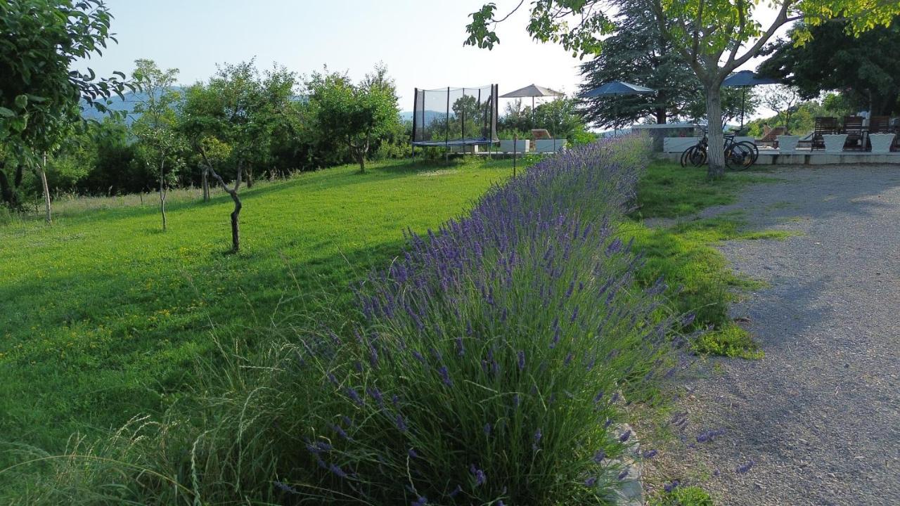 Casa di Oliva-villa with private pool in nature, Dalmatia Trilj Esterno foto